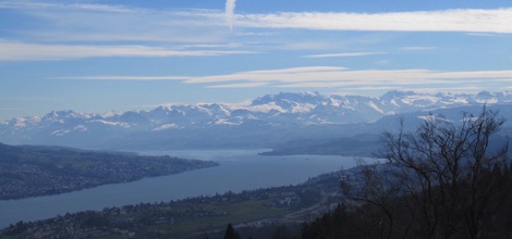 View from Uetliberg summit